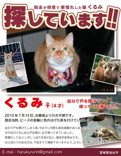 くるみちゃんを探しています
