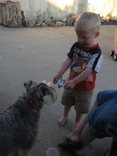Tyler & Roofis
