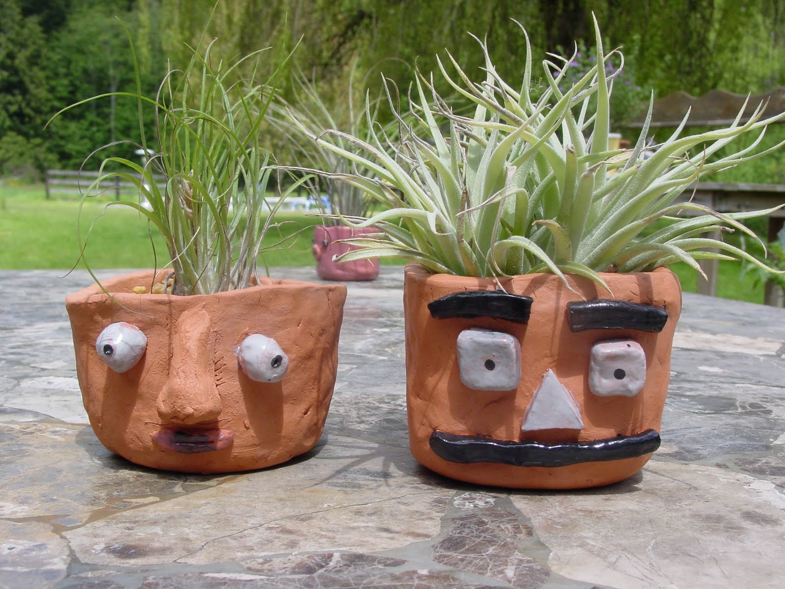 Spittin Toad "POT HEADS"...