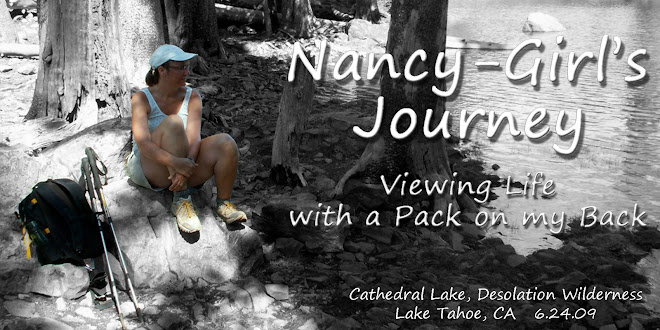 Nancy-Girl's Journey