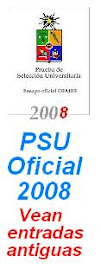 PSU 2008 Forma 111