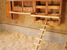 Back Bay Botanicals Chicken Update Future Flower Farm Site