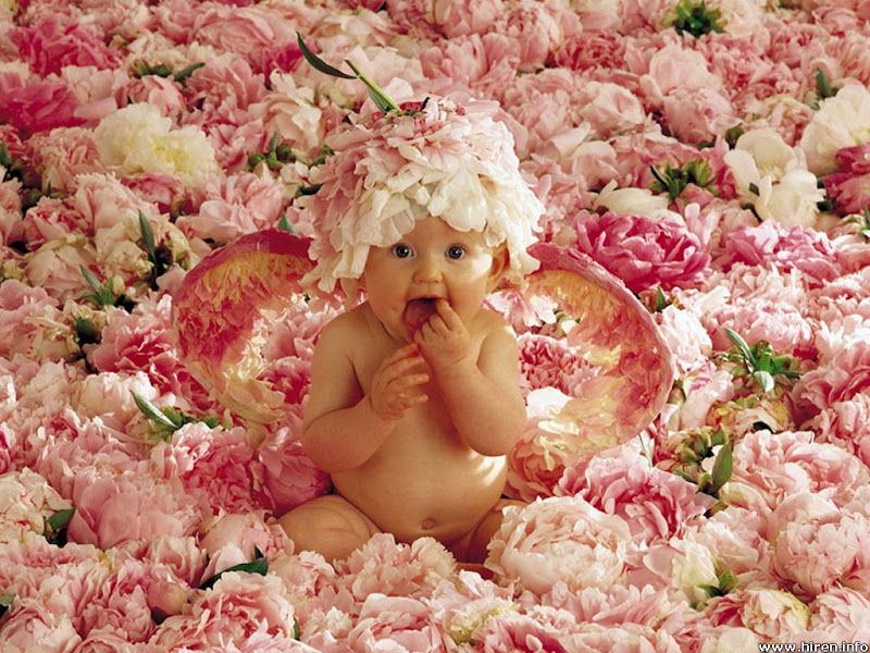 sweet baby boy in the flowers