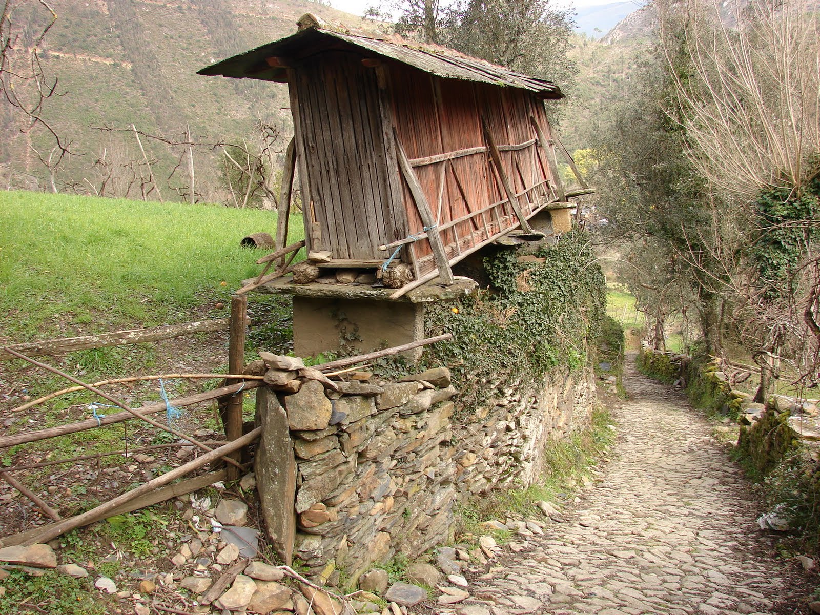 [DSC06804.JPG]