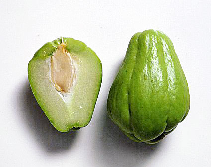 Chayote.JPG