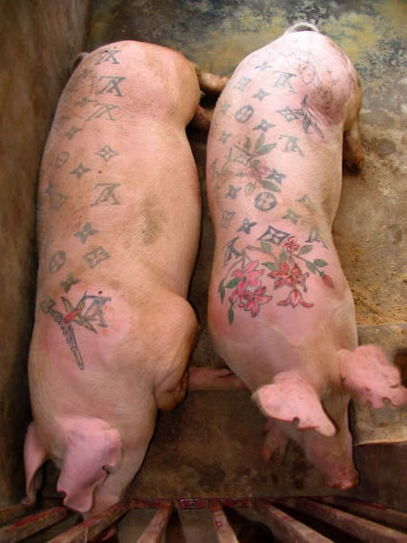 [tattooed-pigs[1].jpg]