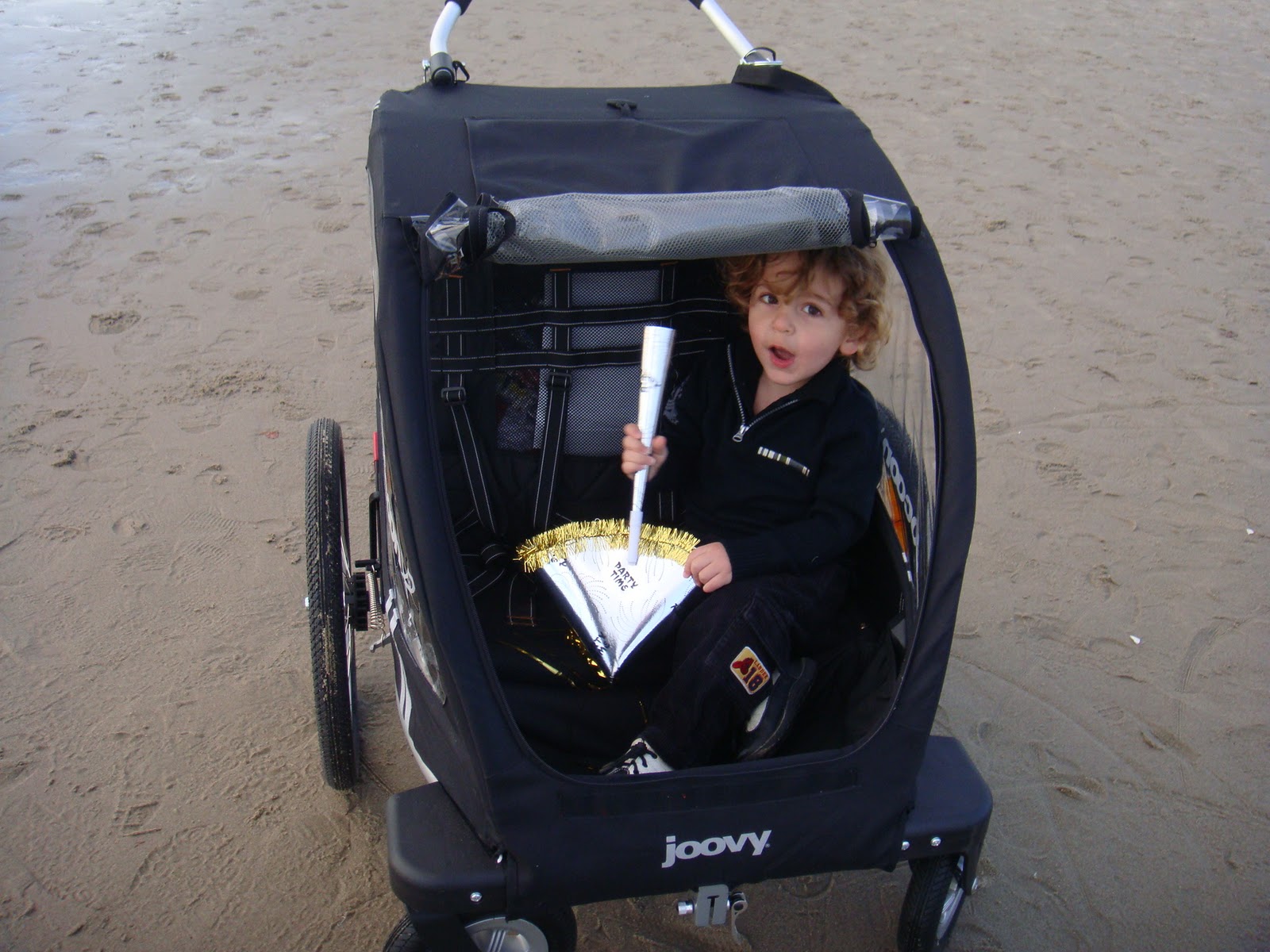 joovy bike stroller