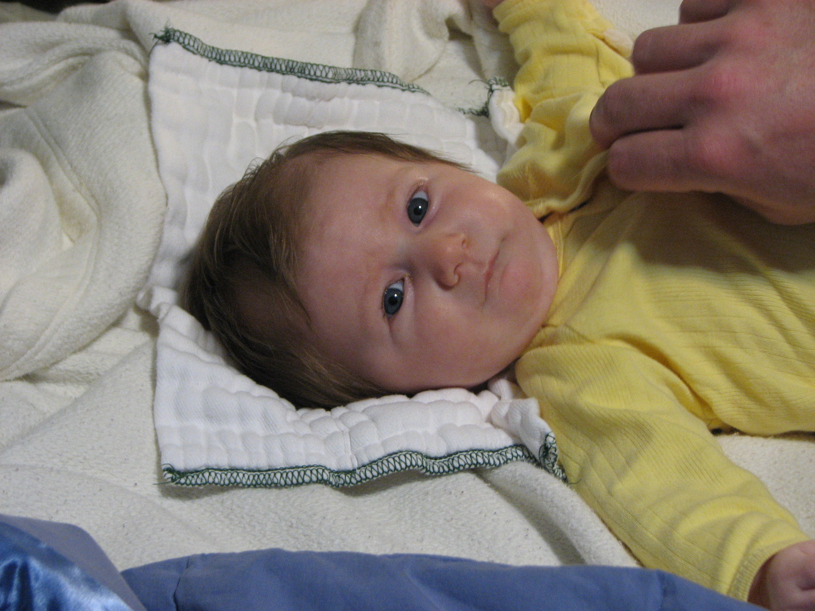 [IMG_2233.JPG]