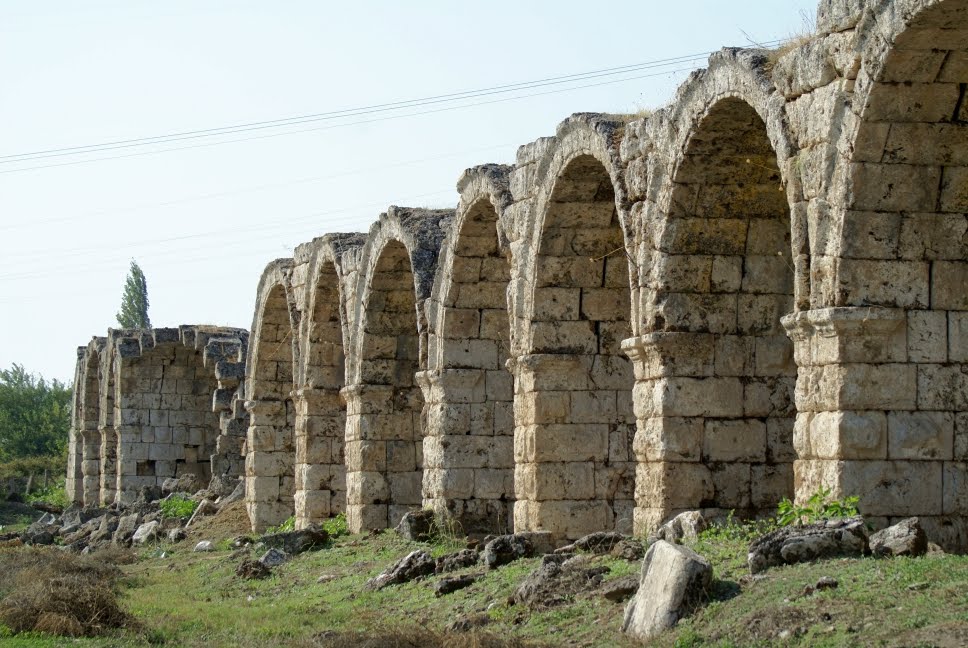 [DSC06167.JPG]