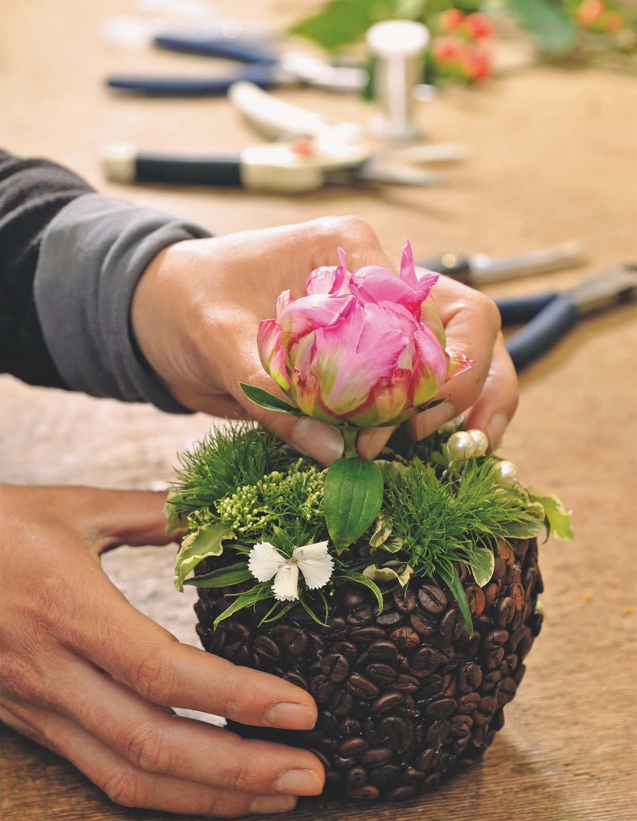 Sachbucher Bildbande Ratgeber Und Satire Buch Kultur Und