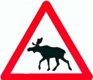 Moose News