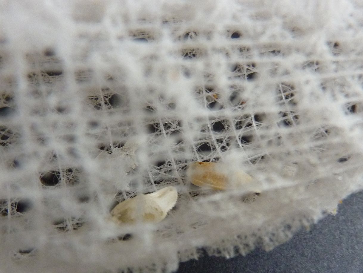 krafty panda Tuesday Treasure