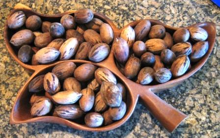 [pecans.JPG]