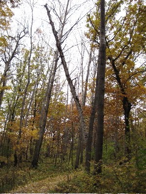 [IMG_4997]