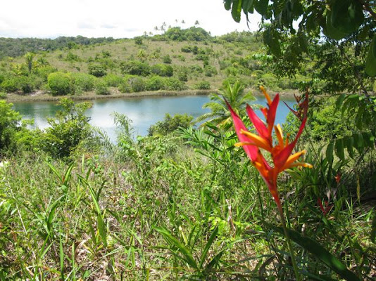 Lagoa protegida por uma mata intocada!!!