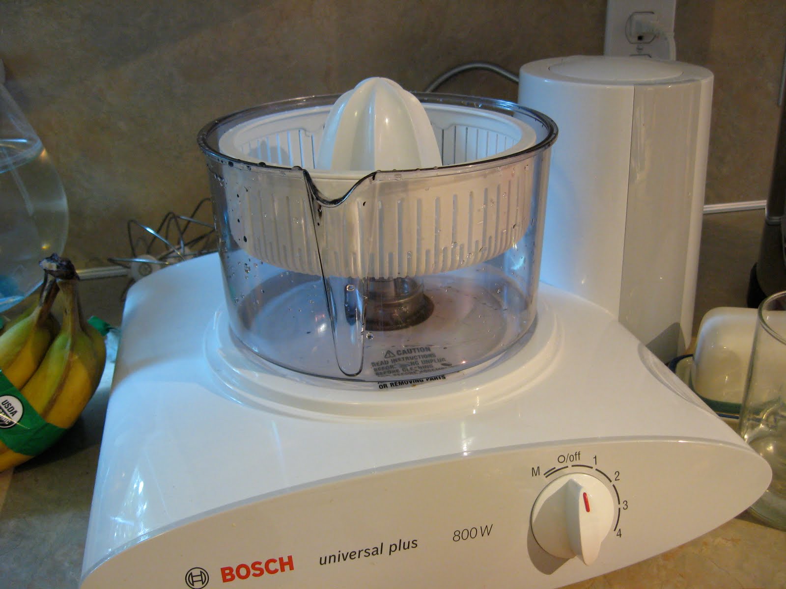 One Little Word She Knew Homemade Lemonade Bosch Citrus Juicer Review