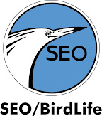 SEO BIRDLIFE ESPAÑA