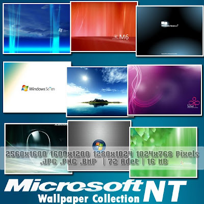 XP Developer: Microsoft A