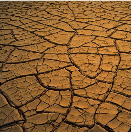 Your skin is composed of