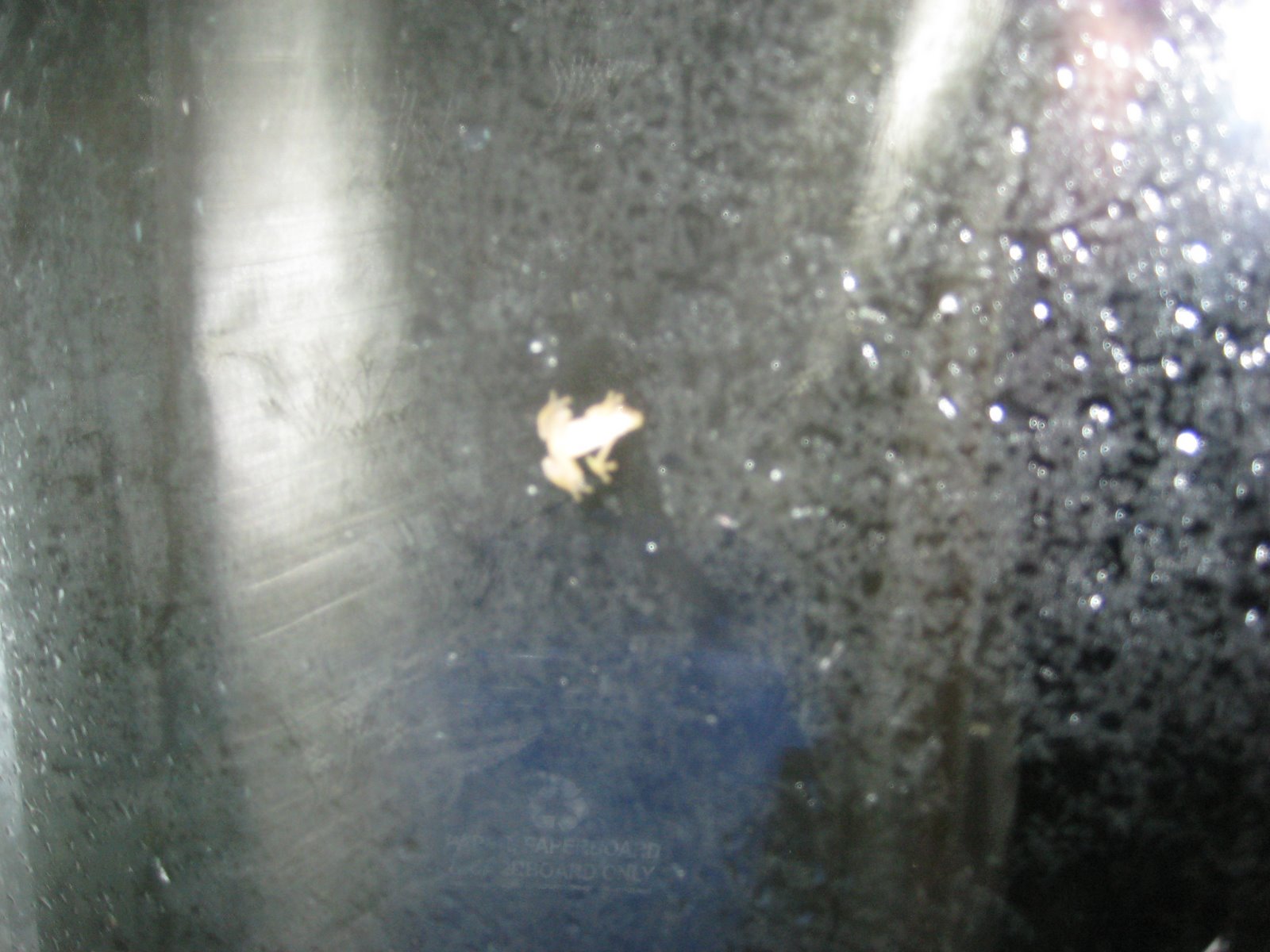 [IMG_1622.JPG]