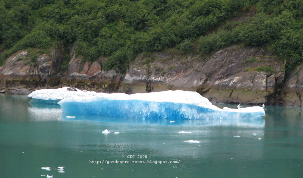 [glacial+ice+cropped.jpg]