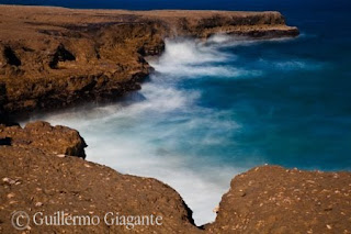 Nature photographer in Valdes Peninsula