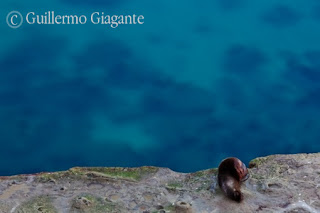 Nature photographer in Valdes Peninsula