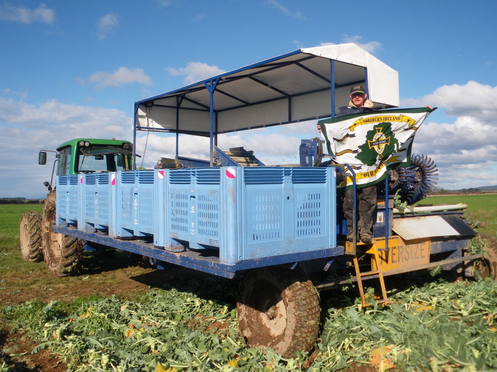 Broccoli Harvest Formosa Farm Don't Stop Living