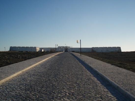 [sagresCANX7DMM.jpg]