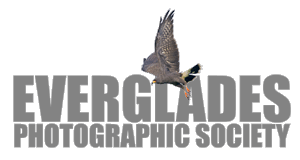 Everglades Photographic Society