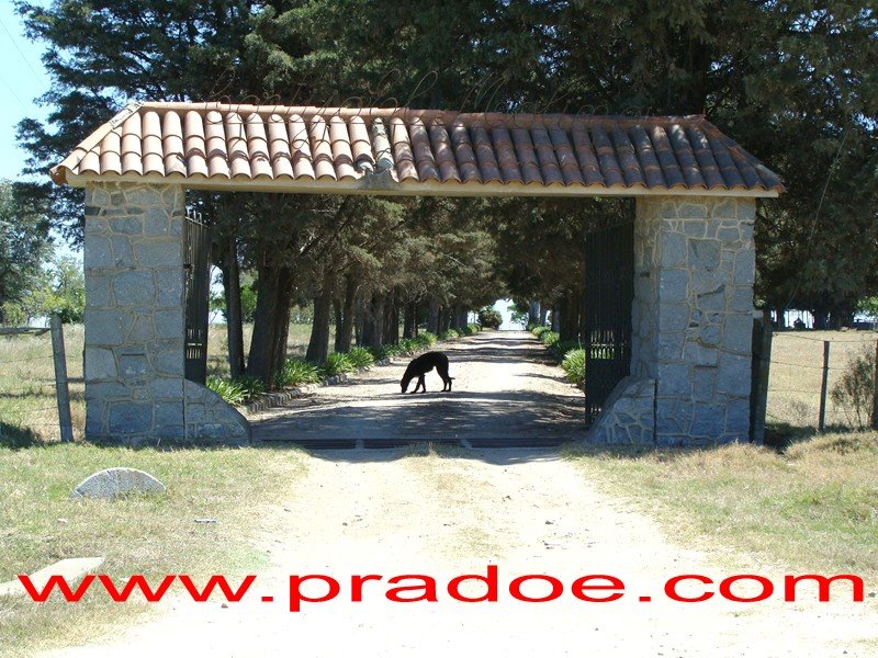 [cortijo+el+molino.JPG]