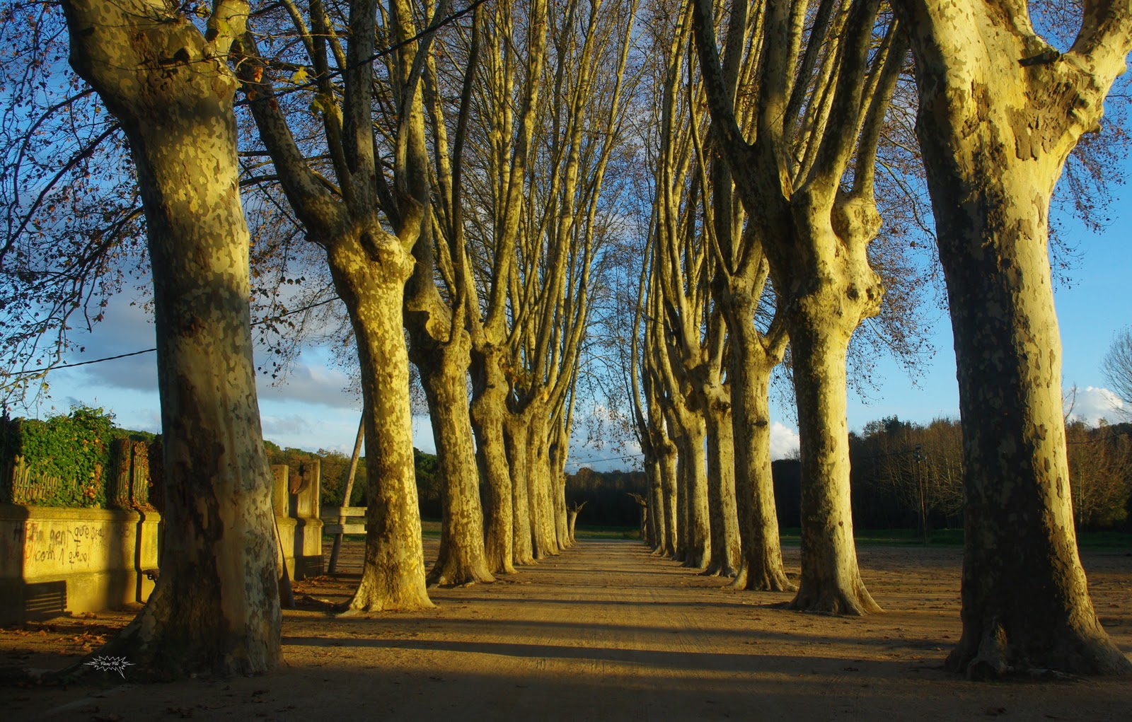 Caldes de Malavella 28112010 Caldes de Malavella