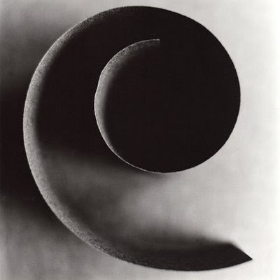 Ion Zupcu Photography