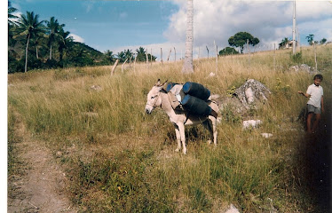 Jumento e ancuretas