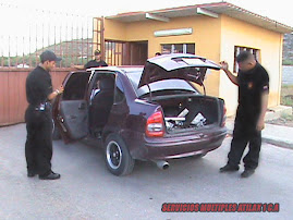 CHEQUEO VEHICULOS LIVIANOS Y PESADOS