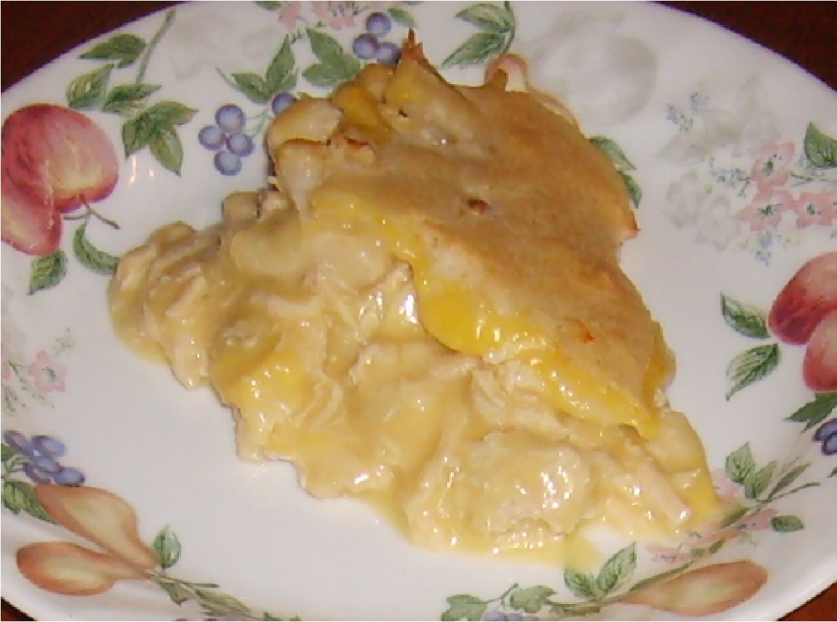 zEasy Access Recipes: Chicken Pan Pie, no vegetables