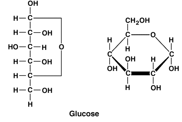 Glucose Chain Structure
