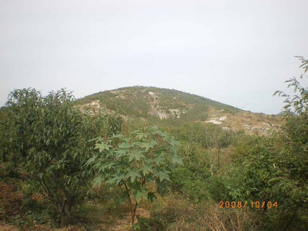 [IMGP0362.JPG]