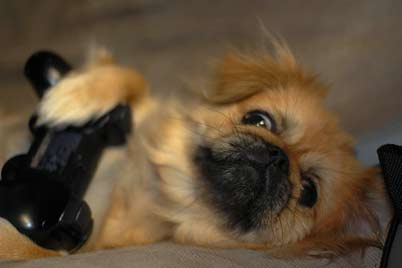 [4167852708_c1cc089754_o.jpg]