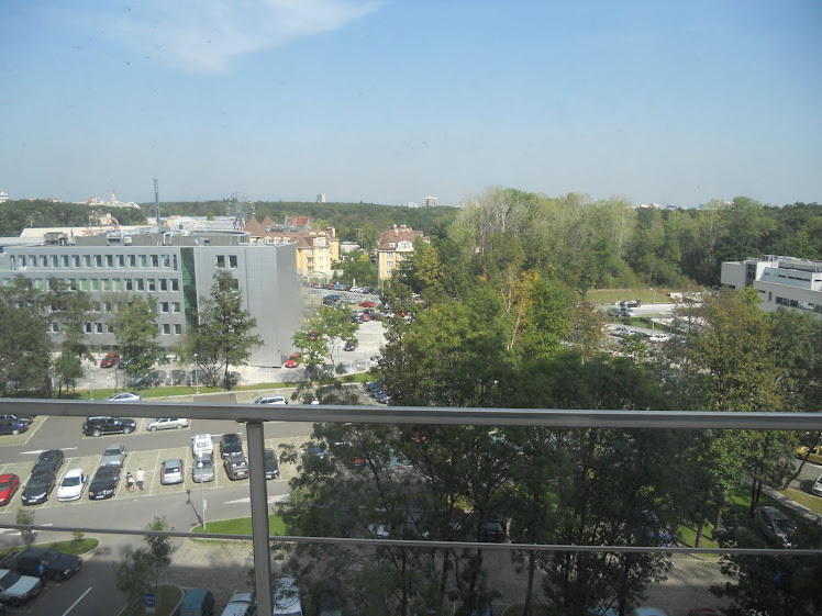 View from the Hospital Room