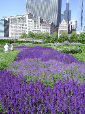 The Lurie Garden