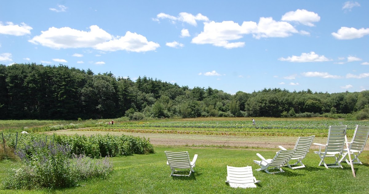 FoodieMommy Tangerini's Spring Street Farm, Millis