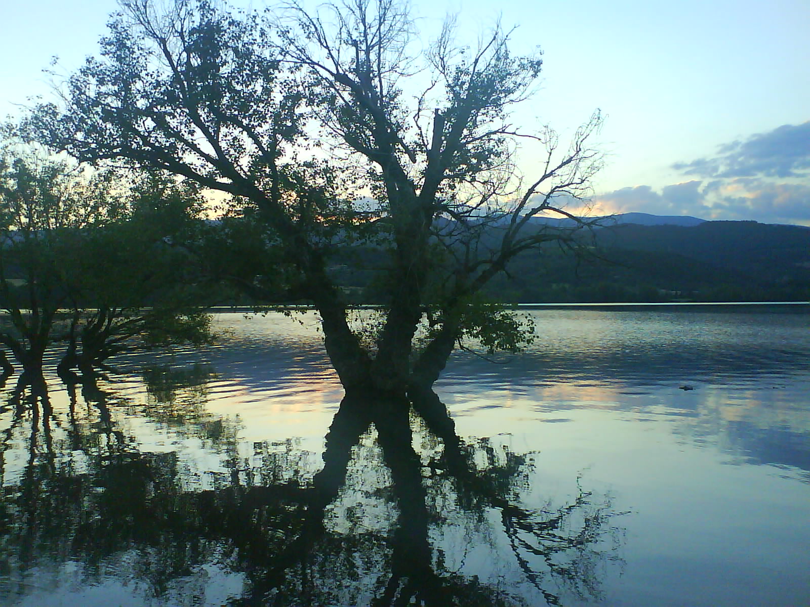 [DSC00044.JPG]