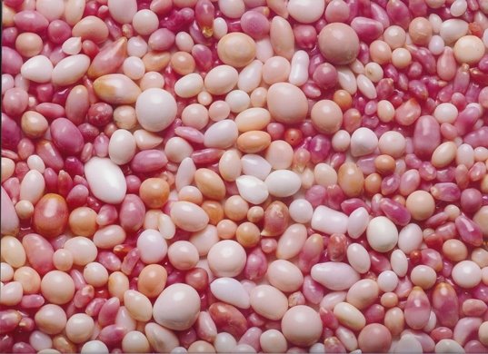 [conchpearls.jpg]