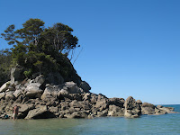 a rocky island with trees on it