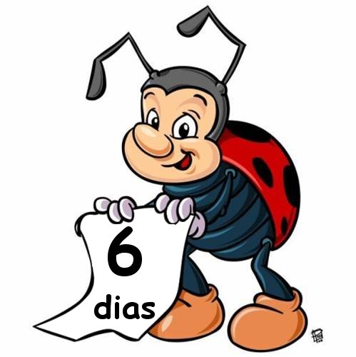 6-dias-joaninha.jpg