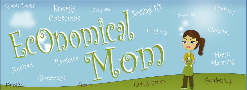 EcOnomical Mom