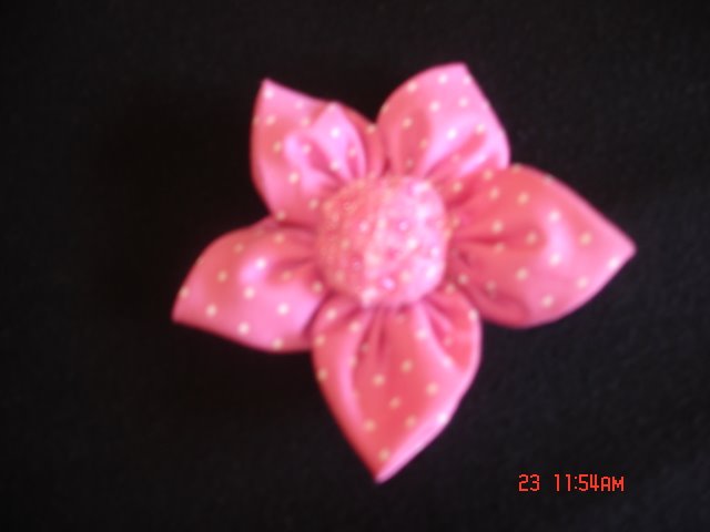 [DSC00050.JPG]