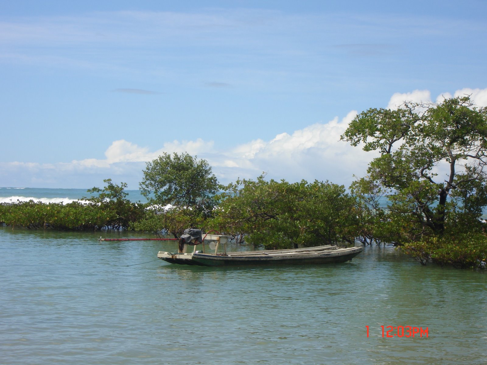 [DSC00149.JPG]