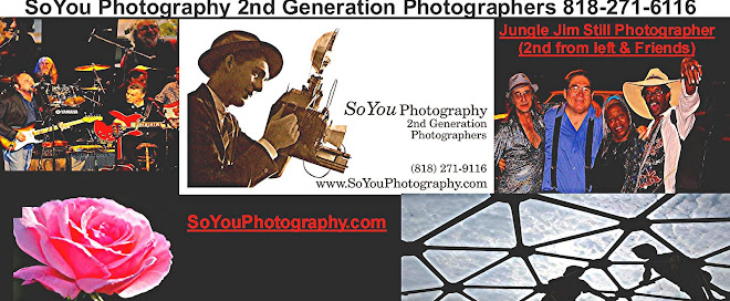 SoYou Photography Top Still Photographer